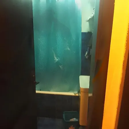 Gajbica * Petrovaradin